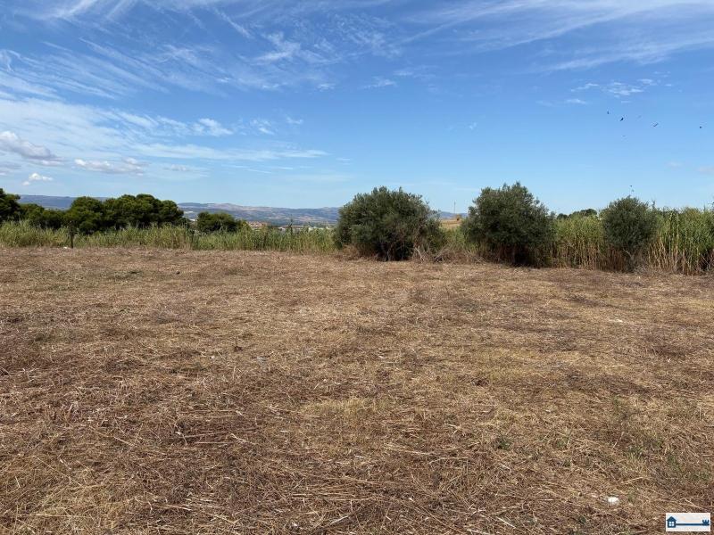 PHOTO-2025-08-20-18-38-07 (8).jpg